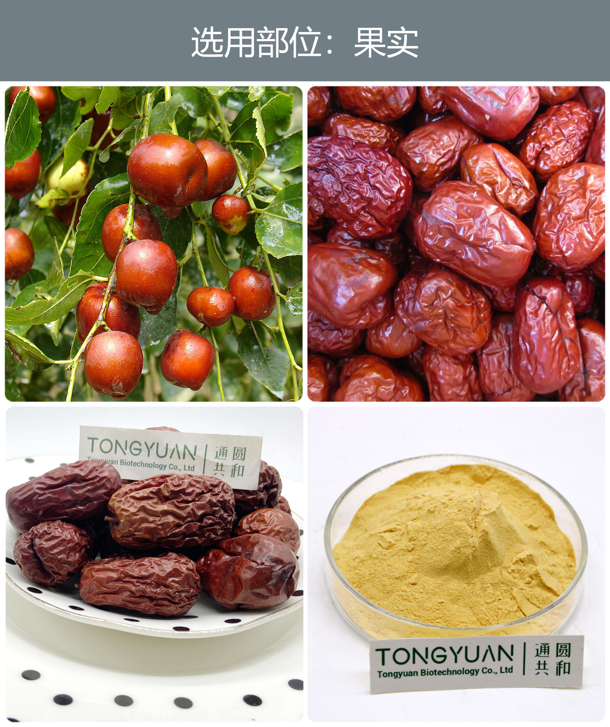 红枣提取物别 名:壶,木蜜,干枣,美枣,良枣,红枣,干赤枣,胶枣,南枣